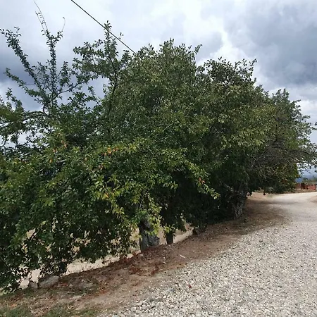 Bauernhof Quinta Do Rio - Belmonte Belmonte (Castelo Branco)