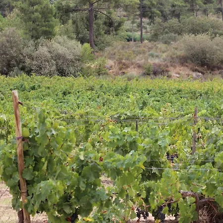Quinta Do Rio - Belmonte * Belmonte (Castelo Branco)